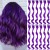 LeeWin 12PCS Single Color Hair Extensions Straight Flerfarget klipp i Hair Extensions Fargerike 20 tommers Rainbow Hair Extensions for barn Kvinners gaver Halloween julebord høydepunkter