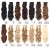LeeWin Curly 7 Pcs/Set Full Head Party Highlights Clip on Hair Extensions Colored Hair Streak Synthetic Hairpieces