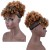 Afro puff ponytail rambut palsu untuk wanita hitam keriting kinky afro puff shabstring ekorstring ekor dengan rambut keriting ponytail abu -abu afro untuk garam rambut semula jadi dan rambut palsu lada untuk wanita