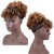 Afro Puff Ponytail Perucas para Mulheres Pretas Kinky Curly Afro Puff Drawstring Ponytail Com Cabelo encaracolado Bangs Cinza Afro Ponytail para Cabelo Natural Sal e Pimenta Perucas para Mulheres