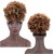 Afro -Puff -Pferdeschwanz Perücken für schwarze Frauen versaute lockige Afro -Puff -Draw -String -Pferdeschwanz mit lockigem Haar Bony Grau Afro Pferdeschwanz für natürliches Haar Salz und Pfefferperücken für Frauen