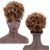 Pelucas de cola de cola afro para mujeres negras rizadas de cola de cordón de cordón de hojaldre rizado con cabello rizado flequillo gris colla de caballo para pelucas de sal y pimienta para mujeres para mujeres