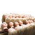 LeeWin Mannequin Head with Hair 16inches-24inches Long Synthetic Hair Styling Training Head Manikin Cosmetology Head Hair Female Europe Face Style