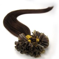 Straight Brazilian Humanoid Fusion Hairstyle U-Head Stick Keratin Hairstyle 100% Remy Humanoid Extensions Straight Brazilian Humanoid Fusion Hairstyle U-Head Stick Keratin Hairstyle 100% Remy Humanoid Extensions