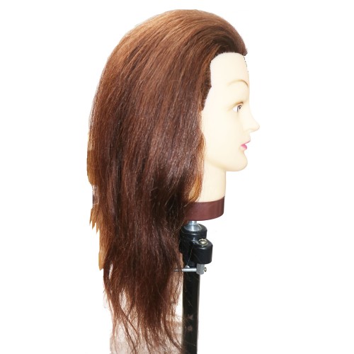 Create various human hair training mannequin heads and practice heads, using high-quality natural back styles and Asian, European, and Latin American facial styles