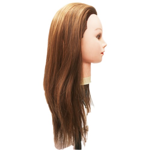 Create various human hair training mannequin heads and practice heads, using high-quality natural back styles and Asian, European, and Latin American facial styles